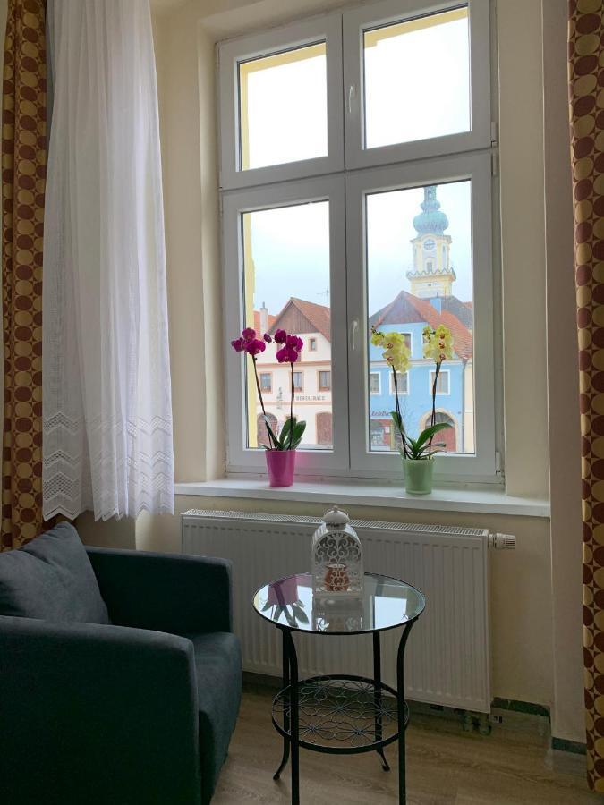 Pension Tv Planá Eksteriør billede